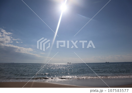 知多　南知多　美浜町　流下式枝条架塩田　海水浴　観光地　海　開眼 107583577