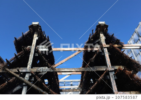 知多　南知多　美浜町　流下式枝条架塩田　海水浴　観光地　海　開眼 107583587