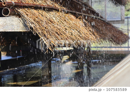 知多　南知多　美浜町　流下式枝条架塩田　海水浴　観光地　海　開眼 107583589