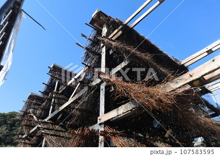 知多　南知多　美浜町　流下式枝条架塩田　海水浴　観光地　海　開眼 107583595