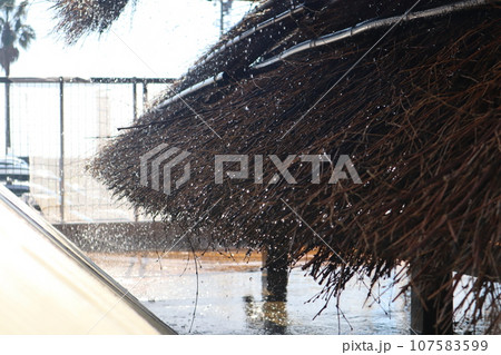 知多 南知多 美浜町 流下式枝条架塩田 海水浴 観光地 海 開眼 知多 南知多 美浜町 流下式枝条架塩田 海水浴 観光地 海 開眼 107583599