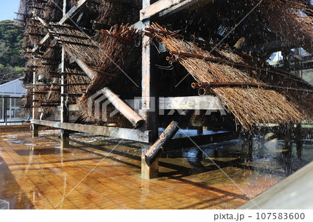 知多　南知多　美浜町　流下式枝条架塩田　海水浴　観光地　海　開眼 107583600