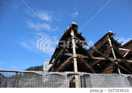 知多　南知多　美浜町　流下式枝条架塩田　海水浴　観光地　海　開眼 107583610