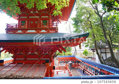 神戸 須磨寺 三重塔(初秋) 神戸 須磨寺 三重塔(初秋) 107583656