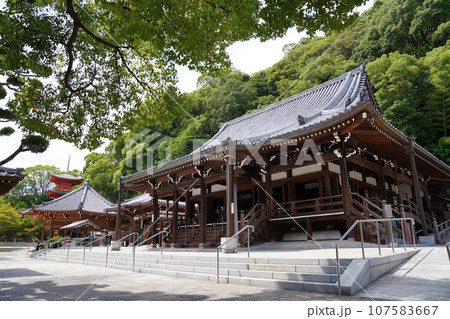 神戸　須磨寺　並ぶ本堂と太子堂・八角堂・三重塔（初秋） 107583667