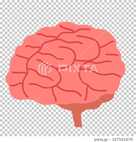 腦 107583870