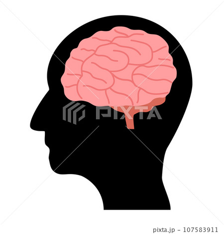 人物の横顔シルエットと脳みそ 人物の横顔シルエットと脳みそ 107583911