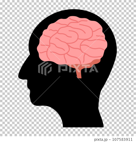 人體輪廓輪廓和大腦 人體輪廓輪廓和大腦 107583911