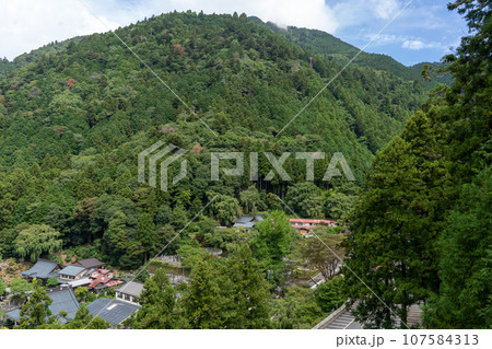 身延山久遠寺 身延山久遠寺 107584313