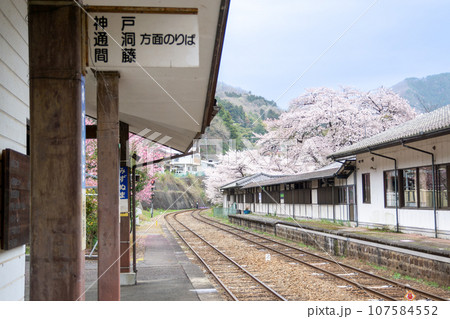 春のわたらせ渓谷鉄道　みずぬま駅ホーム 107584552