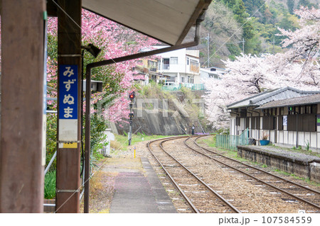 春のわたらせ渓谷鉄道 みずぬま駅ホーム 春のわたらせ渓谷鉄道 みずぬま駅ホーム 107584559