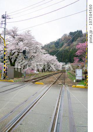 春のわたらせ渓谷鉄道 線路脇に咲く満開の桜 春のわたらせ渓谷鉄道 線路脇に咲く満開の桜 107584560