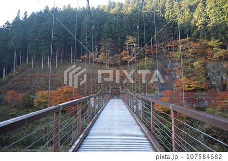 愛知県豊田市　豊田市　稲武町　大井平公園　WRC JAPAN　紅葉　紅葉狩り　吊り橋　観光 107584682
