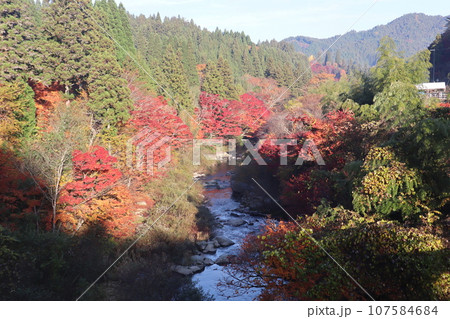愛知県豊田市 豊田市 稲武町 大井平公園 WRC JAPAN 紅葉 紅葉狩り 吊り橋 観光 愛知県豊田市 豊田市 稲武町 大井平公園 WRC JAPAN 紅葉 紅葉狩り 吊り橋 観光 107584684