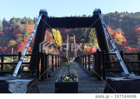 愛知県豊田市 豊田市 稲武町 大井平公園 WRC JAPAN 紅葉 紅葉狩り 吊り橋 観光 愛知県豊田市 豊田市 稲武町 大井平公園 WRC JAPAN 紅葉 紅葉狩り 吊り橋 観光 107584686