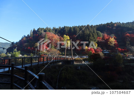 愛知県豊田市　豊田市　稲武町　大井平公園　WRC JAPAN　紅葉　紅葉狩り　吊り橋　観光 107584687