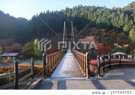 愛知県豊田市　豊田市　稲武町　大井平公園　WRC JAPAN　紅葉　紅葉狩り　吊り橋　観光 107584703