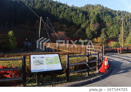 愛知県豊田市 豊田市 稲武町 大井平公園 WRC JAPAN 紅葉 紅葉狩り 吊り橋 観光 愛知県豊田市 豊田市 稲武町 大井平公園 WRC JAPAN 紅葉 紅葉狩り 吊り橋 観光 107584705