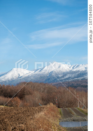 晩秋の晴れた日の雑木林と冠雪の山並み 十勝岳連峰 晩秋の晴れた日の雑木林と冠雪の山並み 十勝岳連峰 107584800