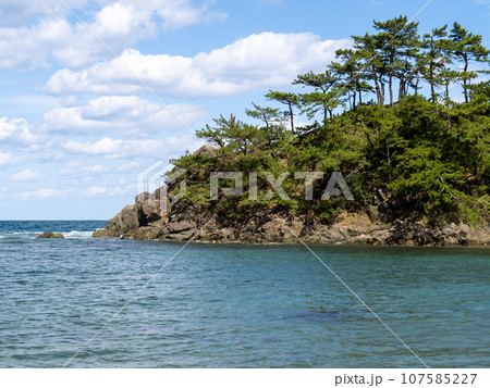 秋(10月)の若狭湾の海岸(城山公園)。福井県大飯郡高浜町内。 秋(10月)の若狭湾の海岸(城山公園)。福井県大飯郡高浜町内。 107585227