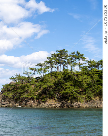 秋(10月)の若狭湾の海岸(城山公園)。福井県大飯郡高浜町内。(縦構図) 107585230