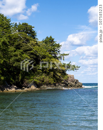 秋(10月)の若狭湾の海岸(城山公園)。福井県大飯郡高浜町内。(縦構図) 秋(10月)の若狭湾の海岸(城山公園)。福井県大飯郡高浜町内。(縦構図) 107585233