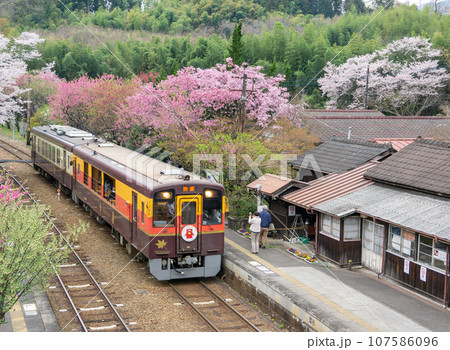 群馬県みどり市 花桃と桜が咲くわたらせ渓谷鉄道ごうど駅の景色 群馬県みどり市 花桃と桜が咲くわたらせ渓谷鉄道ごうど駅の景色 107586096