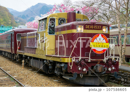 群馬県みどり市　花桃と桜が咲くわたらせ渓谷鉄道ごうど駅に停車する列車 107586605