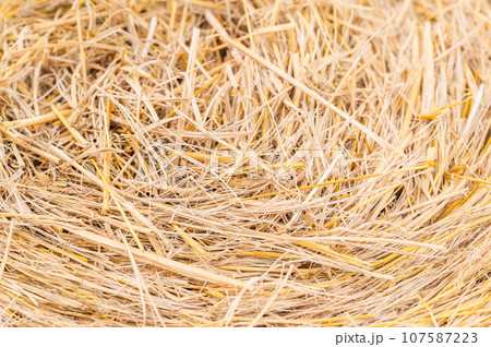 稲わら 107587223