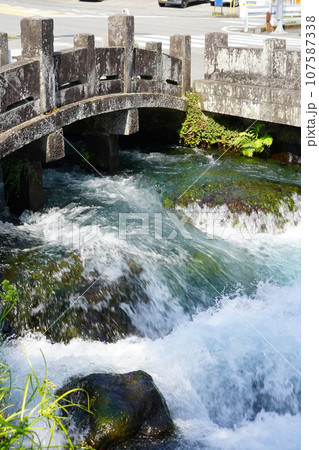 日本各地にある浅間神社の総本社富士山本宮浅間大社は霊峰富士山のお膝元、静岡県富士宮市にある神社です。 107587338