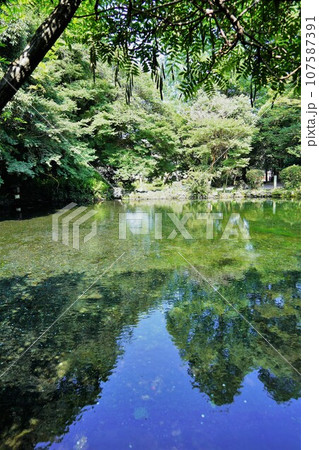 日本各地にある浅間神社の総本社富士山本宮浅間大社は霊峰富士山のお膝元、静岡県富士宮市にある神社です。 日本各地にある浅間神社の総本社富士山本宮浅間大社は霊峰富士山のお膝元、静岡県富士宮市にある神社です。 107587391