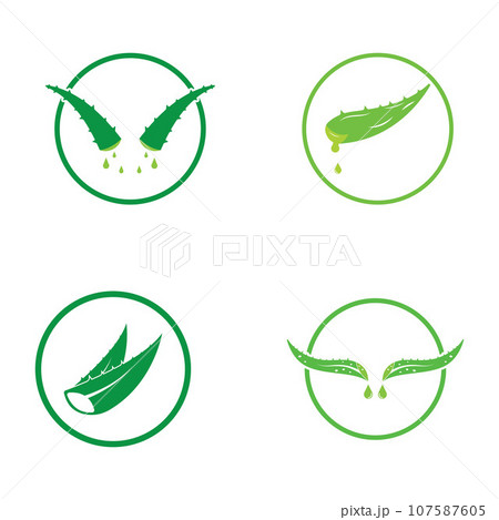 Aloe vera icon logo vector illustration template design 107587605