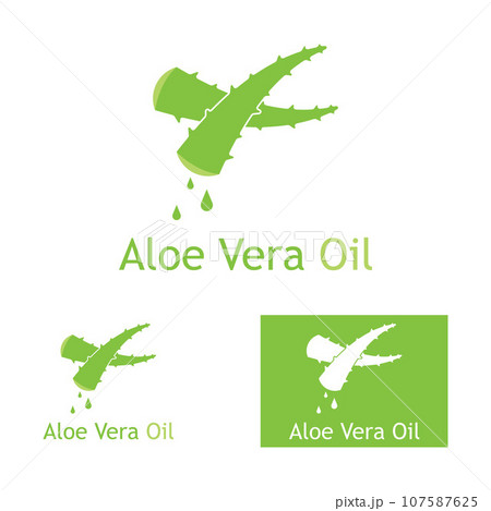 Aloe vera icon logo vector illustration template design Aloe vera icon logo vector illustration template design 107587625