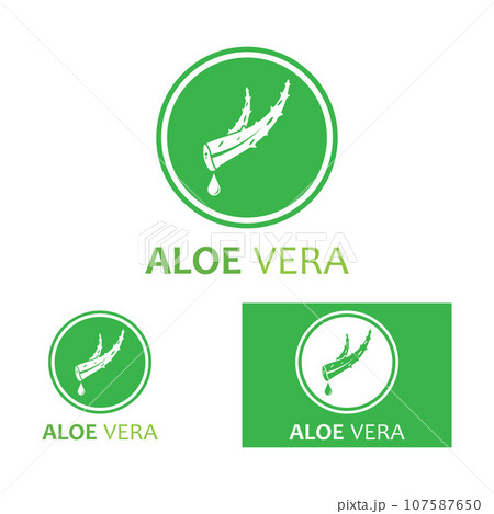 Aloe vera icon logo vector illustration template design 107587650