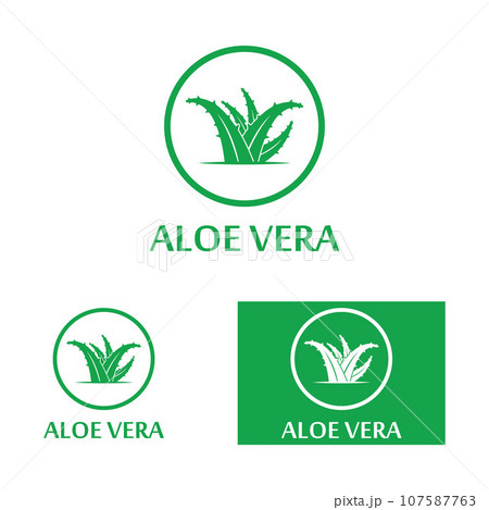 Aloe vera icon logo vector illustration template design 107587763