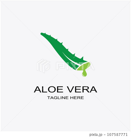 Aloe vera icon logo vector illustration template design Aloe vera icon logo vector illustration template design 107587771