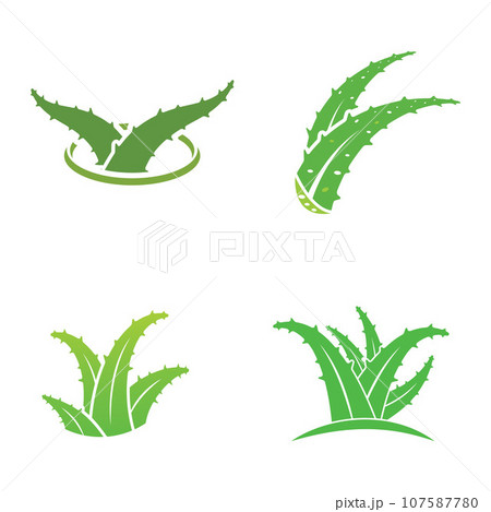 Aloe vera icon logo vector illustration template design 107587780