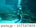 ダイバー 107587809