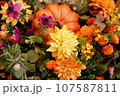 ハロウイン、カラフルな花 107587811