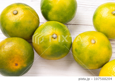 温州みかん（極早生温州みかん） 107588204