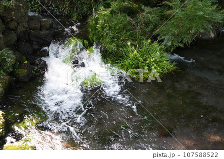 日本各地にある浅間神社の総本社富士山本宮浅間大社は霊峰富士山のお膝元、静岡県富士宮市にある神社です。 日本各地にある浅間神社の総本社富士山本宮浅間大社は霊峰富士山のお膝元、静岡県富士宮市にある神社です。 107588522