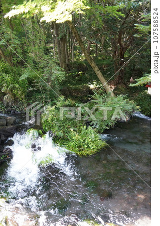 日本各地にある浅間神社の総本社富士山本宮浅間大社は霊峰富士山のお膝元、静岡県富士宮市にある神社です。 日本各地にある浅間神社の総本社富士山本宮浅間大社は霊峰富士山のお膝元、静岡県富士宮市にある神社です。 107588524
