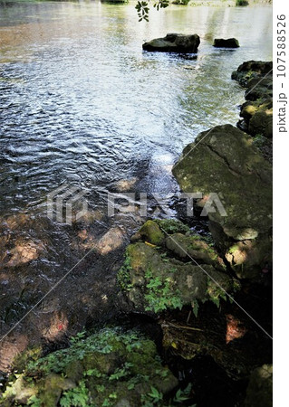 日本各地にある浅間神社の総本社富士山本宮浅間大社は霊峰富士山のお膝元、静岡県富士宮市にある神社です。 日本各地にある浅間神社の総本社富士山本宮浅間大社は霊峰富士山のお膝元、静岡県富士宮市にある神社です。 107588526