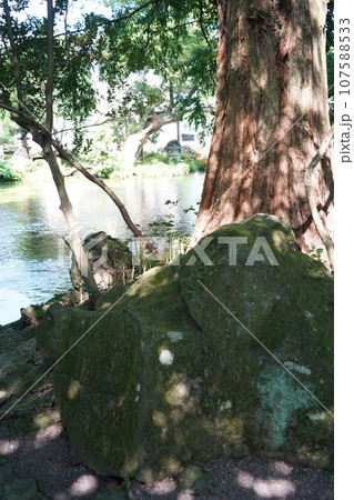 日本各地にある浅間神社の総本社富士山本宮浅間大社は霊峰富士山のお膝元、静岡県富士宮市にある神社です。 日本各地にある浅間神社の総本社富士山本宮浅間大社は霊峰富士山のお膝元、静岡県富士宮市にある神社です。 107588533