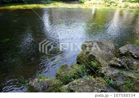 日本各地にある浅間神社の総本社富士山本宮浅間大社は霊峰富士山のお膝元、静岡県富士宮市にある神社です。 日本各地にある浅間神社の総本社富士山本宮浅間大社は霊峰富士山のお膝元、静岡県富士宮市にある神社です。 107588534