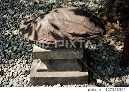 日本各地にある浅間神社の総本社富士山本宮浅間大社は霊峰富士山のお膝元、静岡県富士宮市にある神社です。 日本各地にある浅間神社の総本社富士山本宮浅間大社は霊峰富士山のお膝元、静岡県富士宮市にある神社です。 107588565