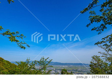 久留米森林つつじ公園 久留米森林つつじ公園 107588832