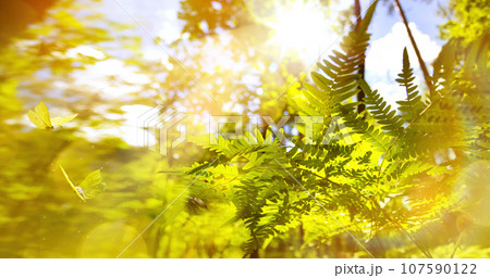 Art abstract summer forest sunny nature background Art abstract summer forest sunny nature background 107590122