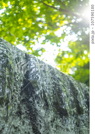 新緑の中を流れる清流　(木谷沢渓流） 107590180