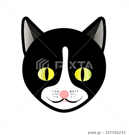 白黒ネコの顔のイラスト　GIFアニメ用 107590235